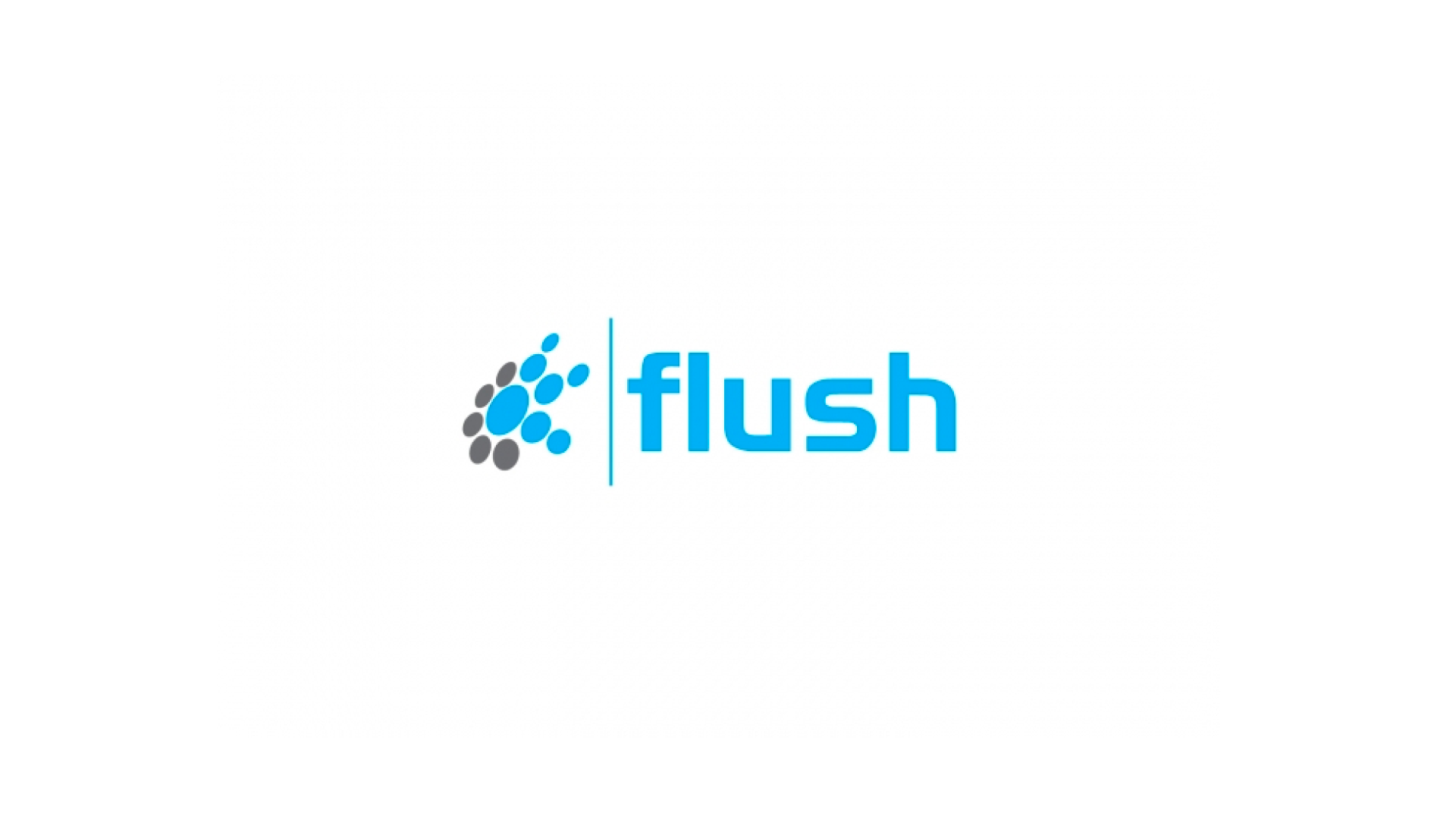 Before Flush
